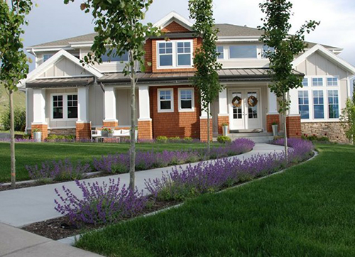front walk