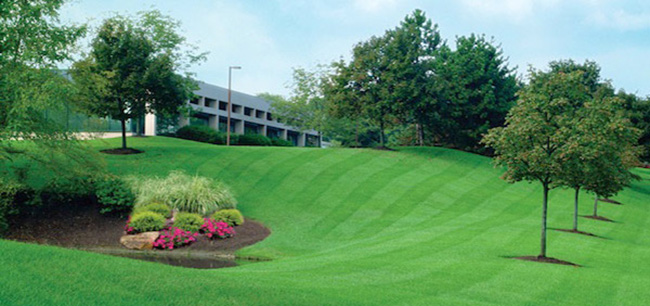 Commercial on sale lawn maintenance